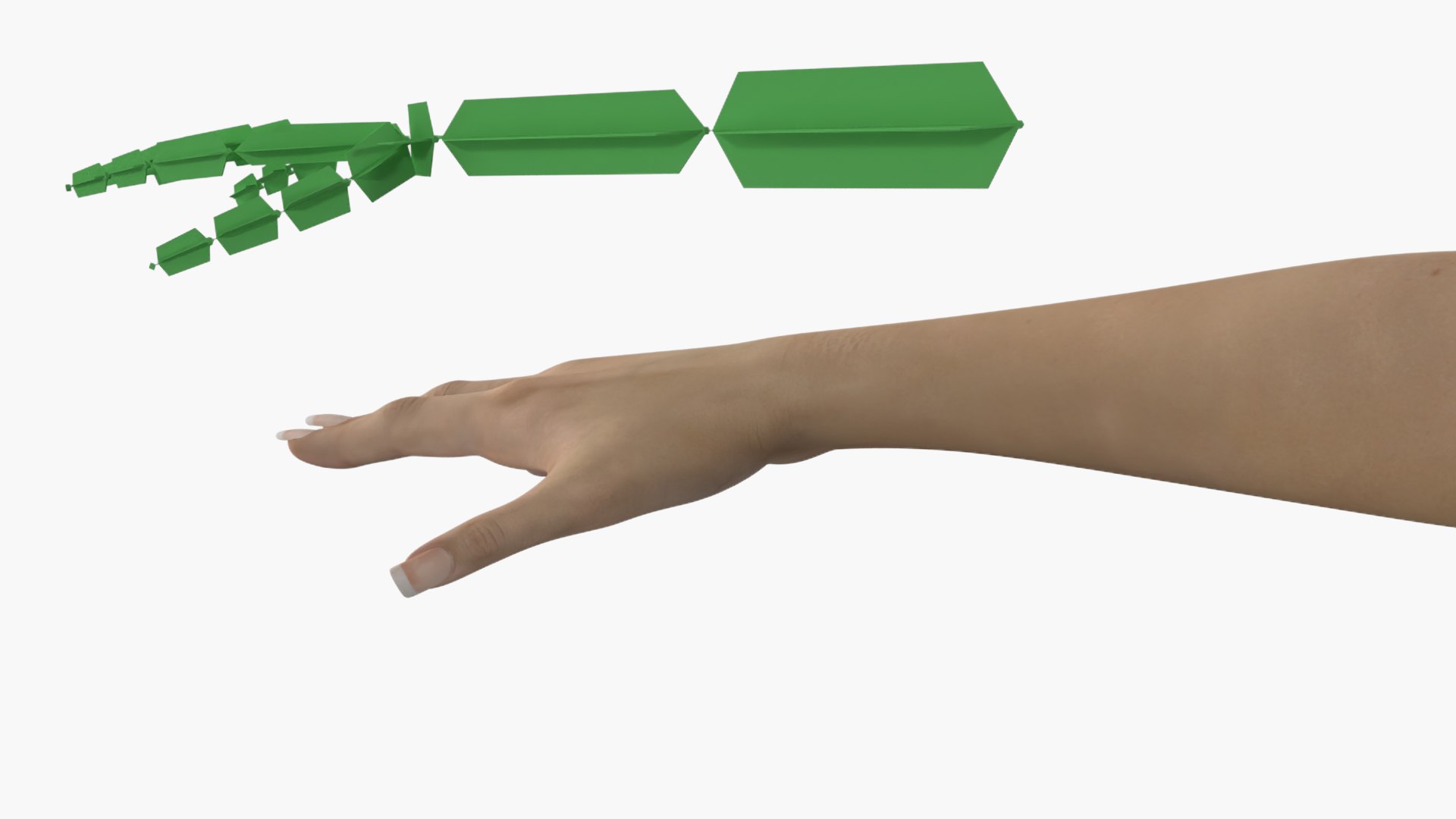 Realistic Female Hand Rigged 3D Model - TurboSquid 2363059