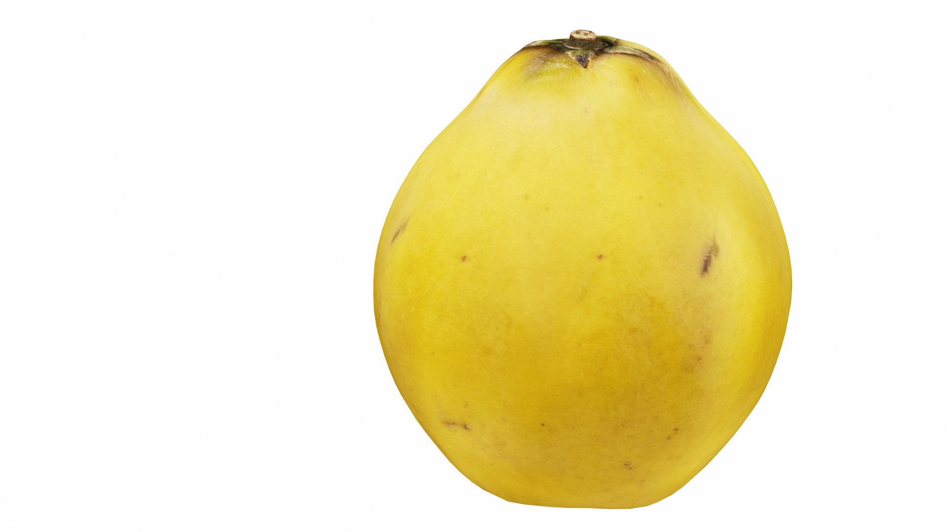3D Quince https://p.turbosquid.com/ts-thumb/R2/c1qtoa/Fv/quince6/jpg/1770013563/1920x1080/fit_q87/d12c6ecb97cd6dbcbf065cdbfdeb03f492386c75/quince6.jpg