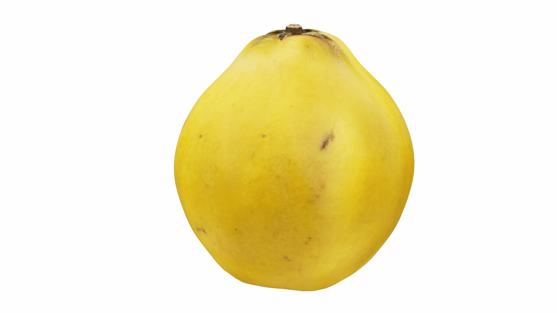 3D Quince https://p.turbosquid.com/ts-thumb/R2/c1qtoa/SR/quince3/jpg/1770013561/1920x1080/fit_q87/5812c13478e79c8ea6be5ff98875602b0c68ded3/quince3.jpg