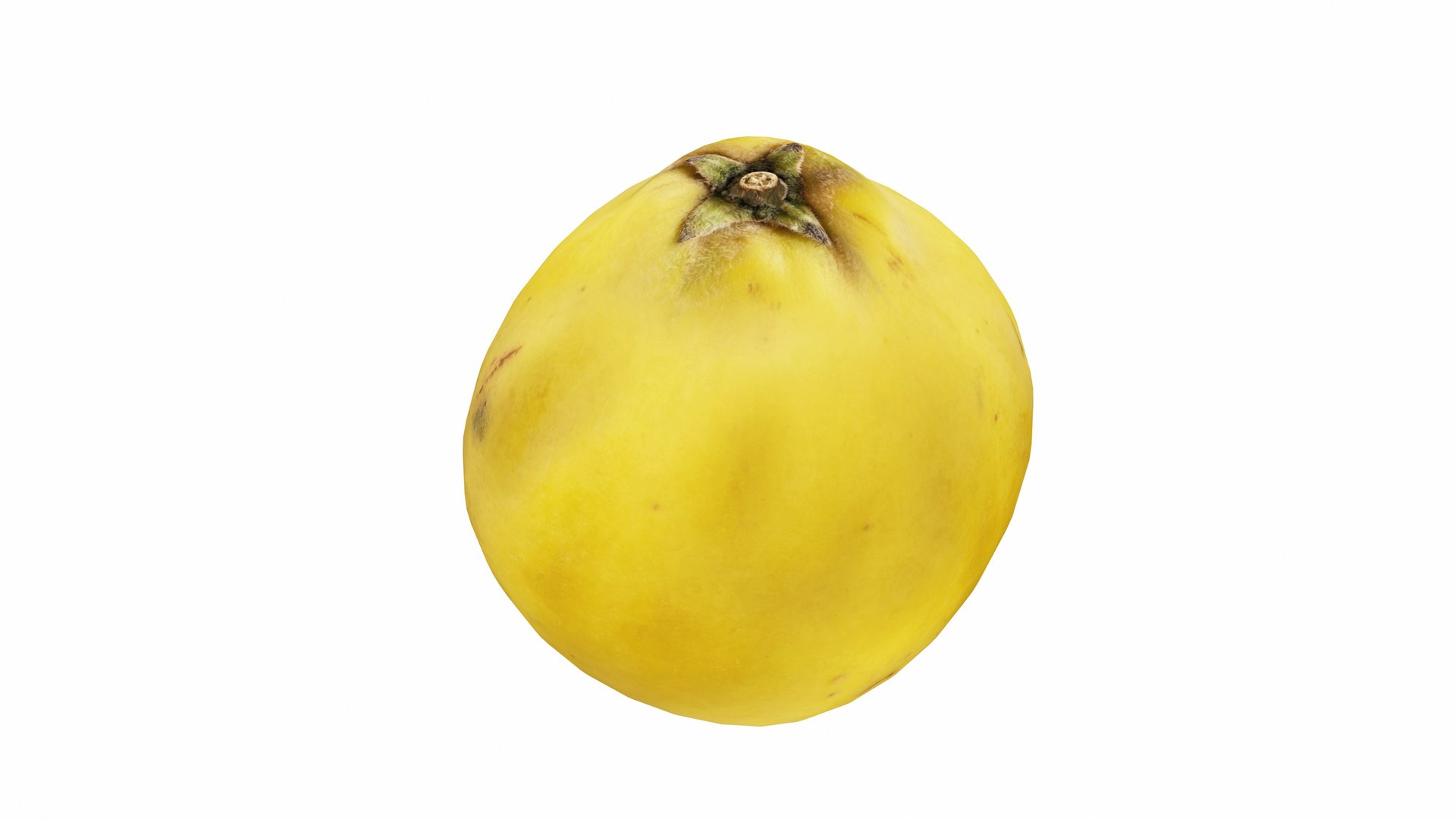 3D Quince https://p.turbosquid.com/ts-thumb/R2/c1qtoa/o5/quince5/jpg/1770013562/1920x1080/fit_q87/a03f99c6c54fd80b045875c3f46dc3076320c840/quince5.jpg