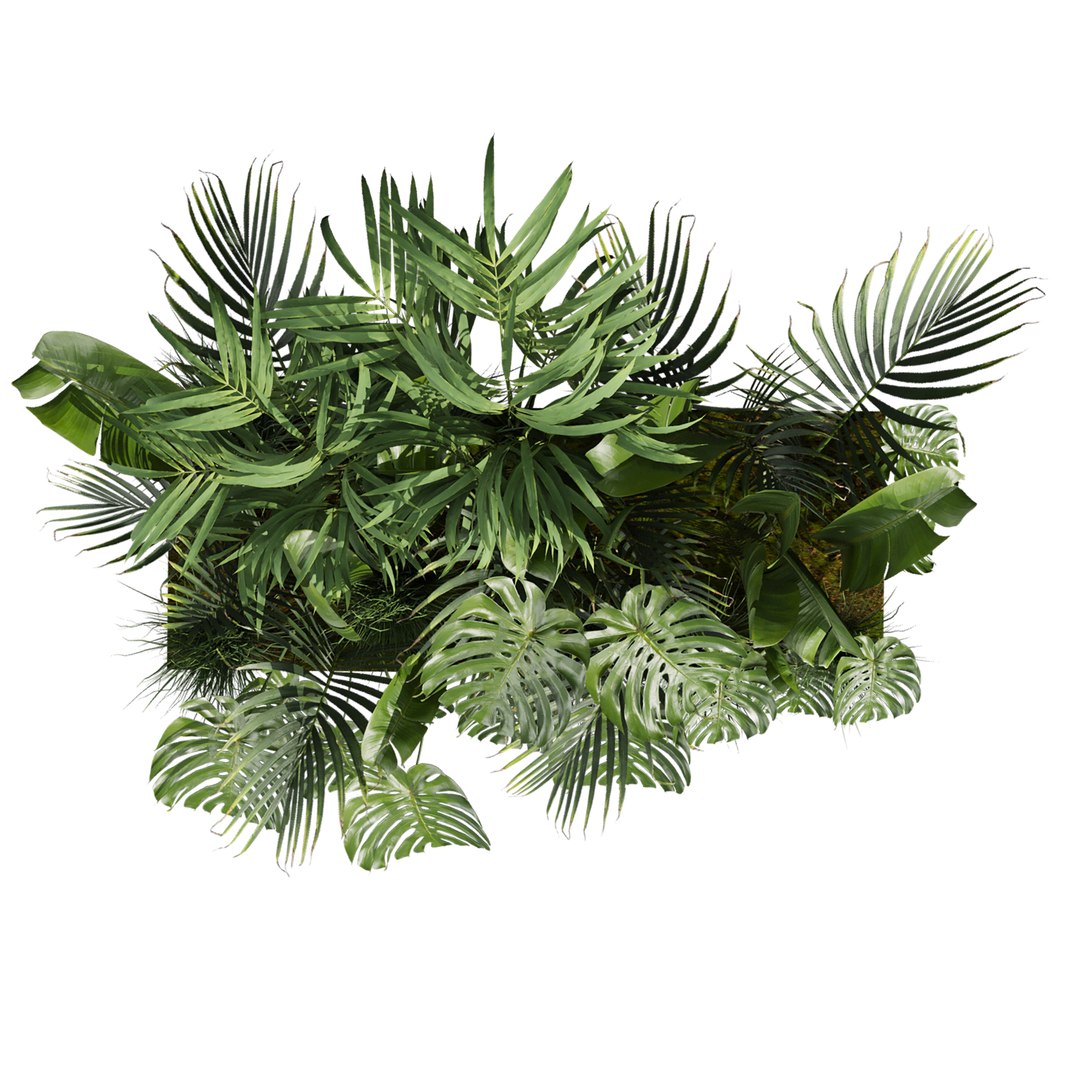 plant vol 966 - banana - monstera - palm 3D model https://p.turbosquid.com/ts-thumb/R2/fNywL9/cW/3/jpg/1785241365/1920x1080/fit_q87/5c630211002a402bc66944010d662ab13f8c71e2/3.jpg