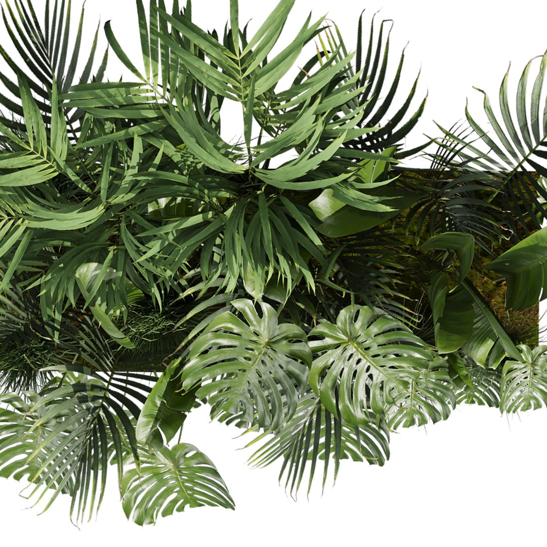 plant vol 966 - banana - monstera - palm 3D model https://p.turbosquid.com/ts-thumb/R2/fNywL9/jW/5/jpg/1785241366/1920x1080/fit_q87/a8ad325d891f815001cba5841df47b5c3dc1ea85/5.jpg