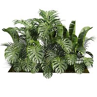 plant vol 966 - banana - monstera - palm