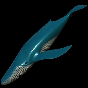 Realistic fully rigged low poly blue whale