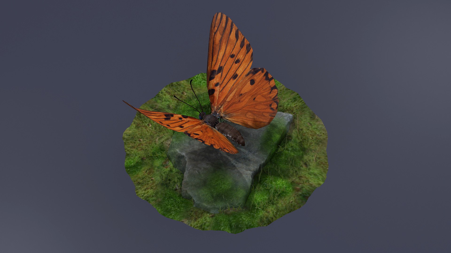 3D Morpho Butterfly Menelaus Neotropical Rigged Rig Insect Animal ...