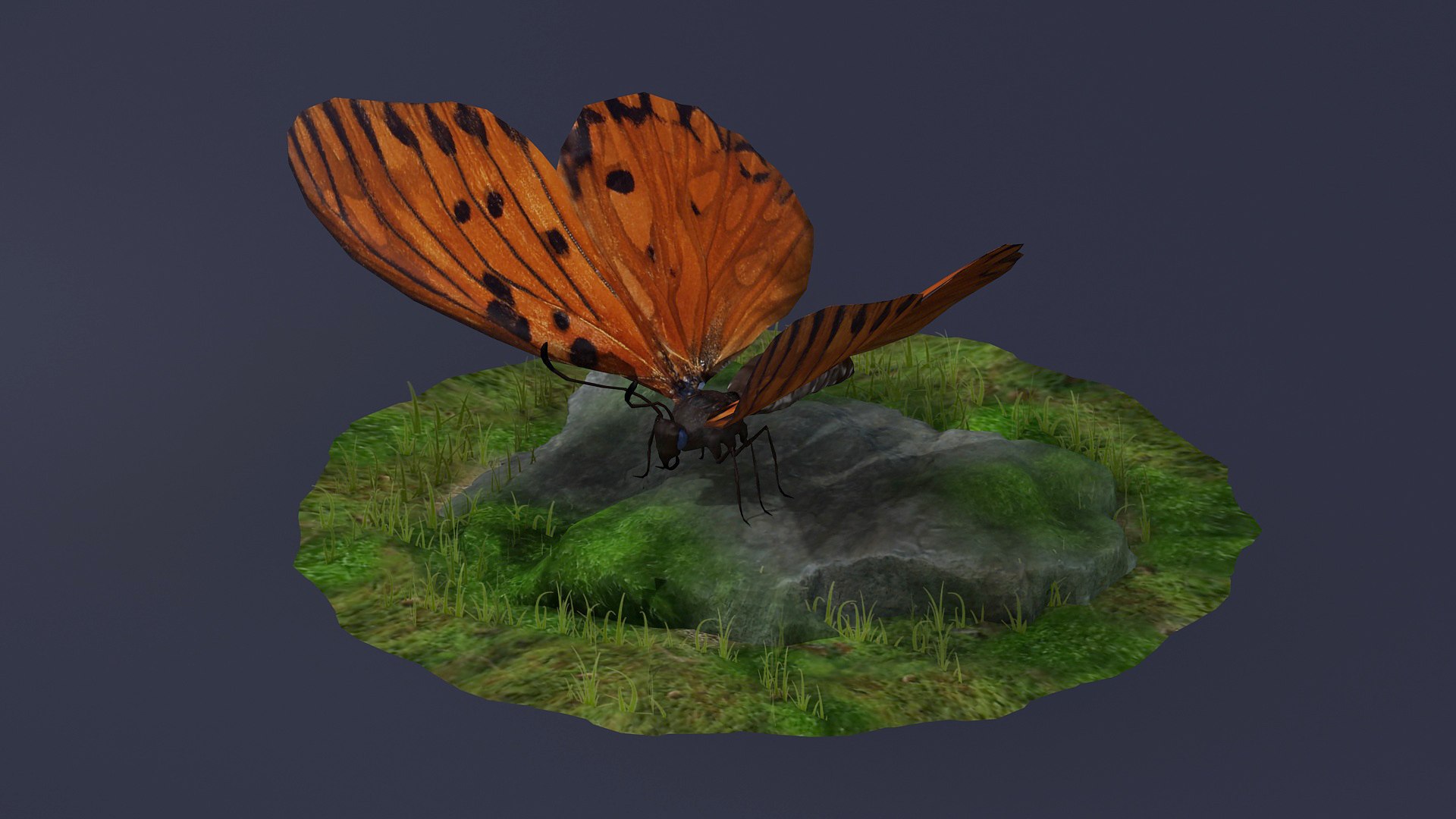 3D Morpho Butterfly Menelaus Neotropical Rigged Rig Insect Animal ...