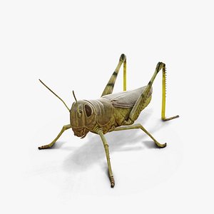 3D Grasshopper 3D Model