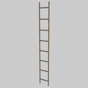 Wooden Ladder