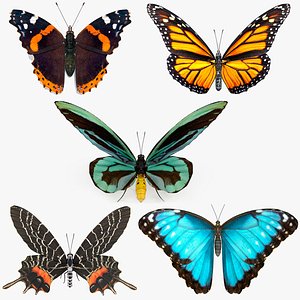 3D model Rigged Butterflies Collection 4 for Maya