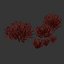 Modelo 3D de plantas de romero 497