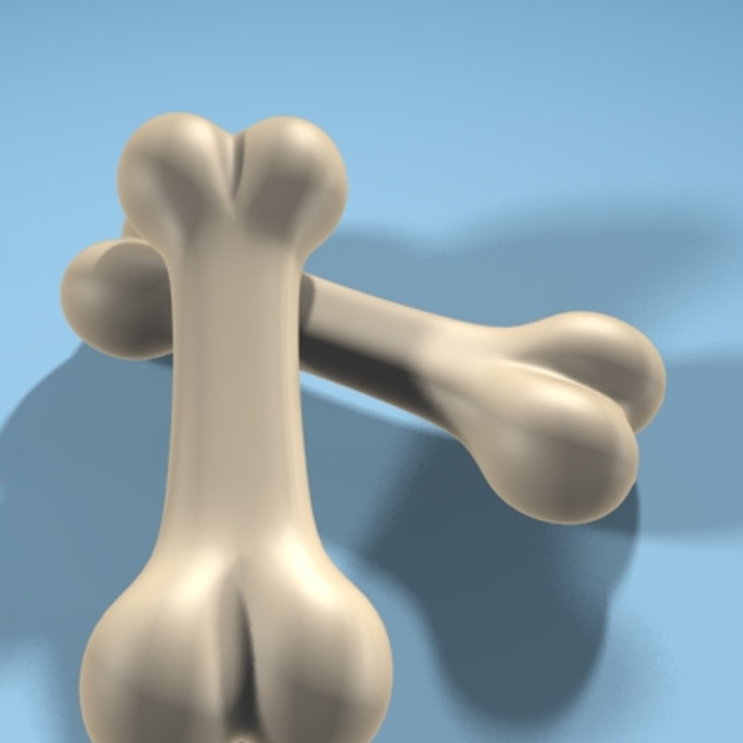 Bone 3d Model