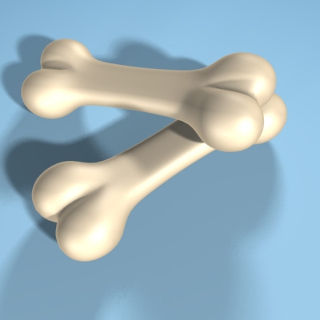 Bone 3d Model