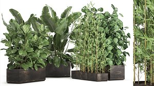 3D model Exotic plants in a rusty flowerpot for the interior 993