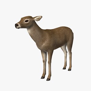 doe edge loop max