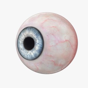 3D blue human eye model