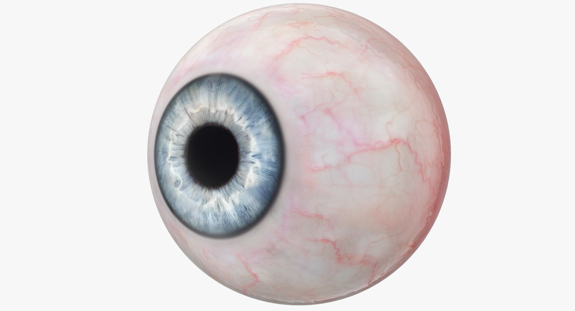 Blue Human Eye 3D model preview