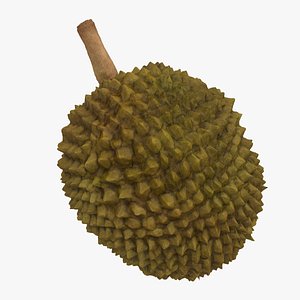max durian fruit