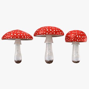 mushrooms amanita set 3D model