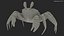 Krab z plaży Atlantic Beach w pozycji patrzącej w różowo-beżowym kolorze
