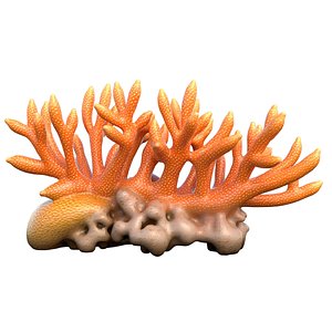 Coral 01 model