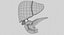 Hepato biliary tract pancreas gallbladder