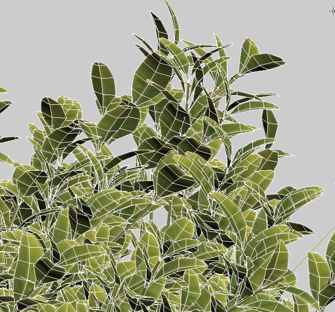 3D sempervirens buxus cube model https://p.turbosquid.com/ts-thumb/R4/YKxM1Q/uta5N3n6/geometry/jpg/1535967867/1920x1080/fit_q87/2610721436b7620bcb93777d904c28a9a7775893/geometry.jpg