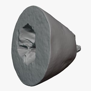 Half Cut Loquat Fruit - For 3D Print 3D