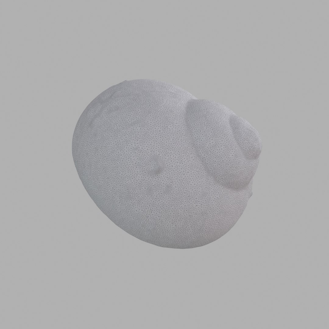 snail shell model https://p.turbosquid.com/ts-thumb/R4/utKgT2/22fgzH2n/w04/jpg/1509961030/1920x1080/fit_q87/750f52600334fcc660c6011d6c8a5527dc4f3033/w04.jpg