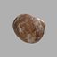 Concha de Caracol 01