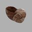 Concha de Caracol 01