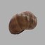 Concha de Caracol 01