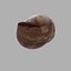 Concha de Caracol 01