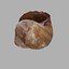 Concha de Caracol 01
