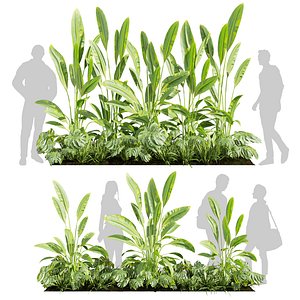 3D model Banana Monstera Grass Garden - Vol 615 - 3D Model plant