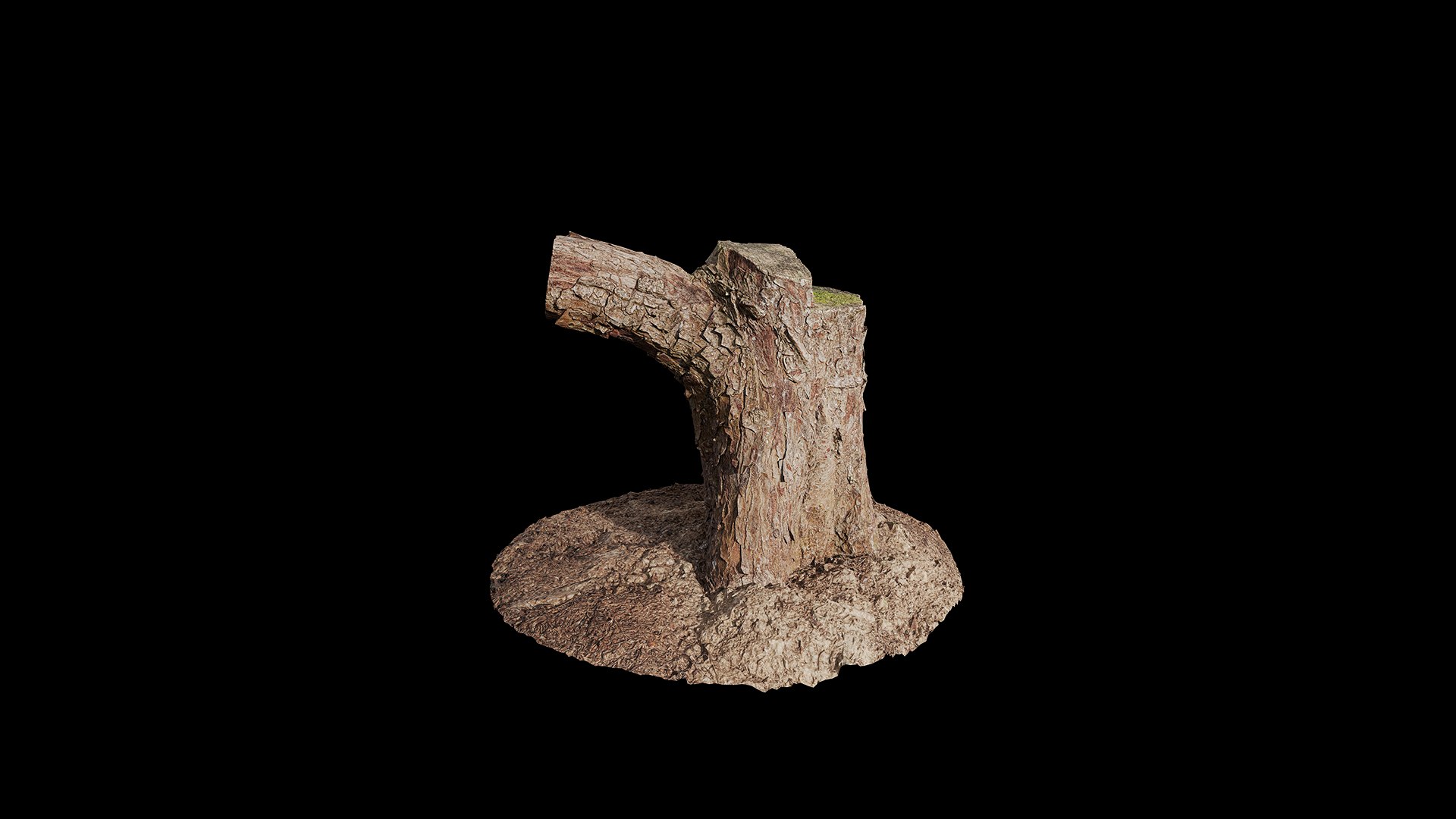 3D Anydrafts Stump 01 Model - TurboSquid 2321940