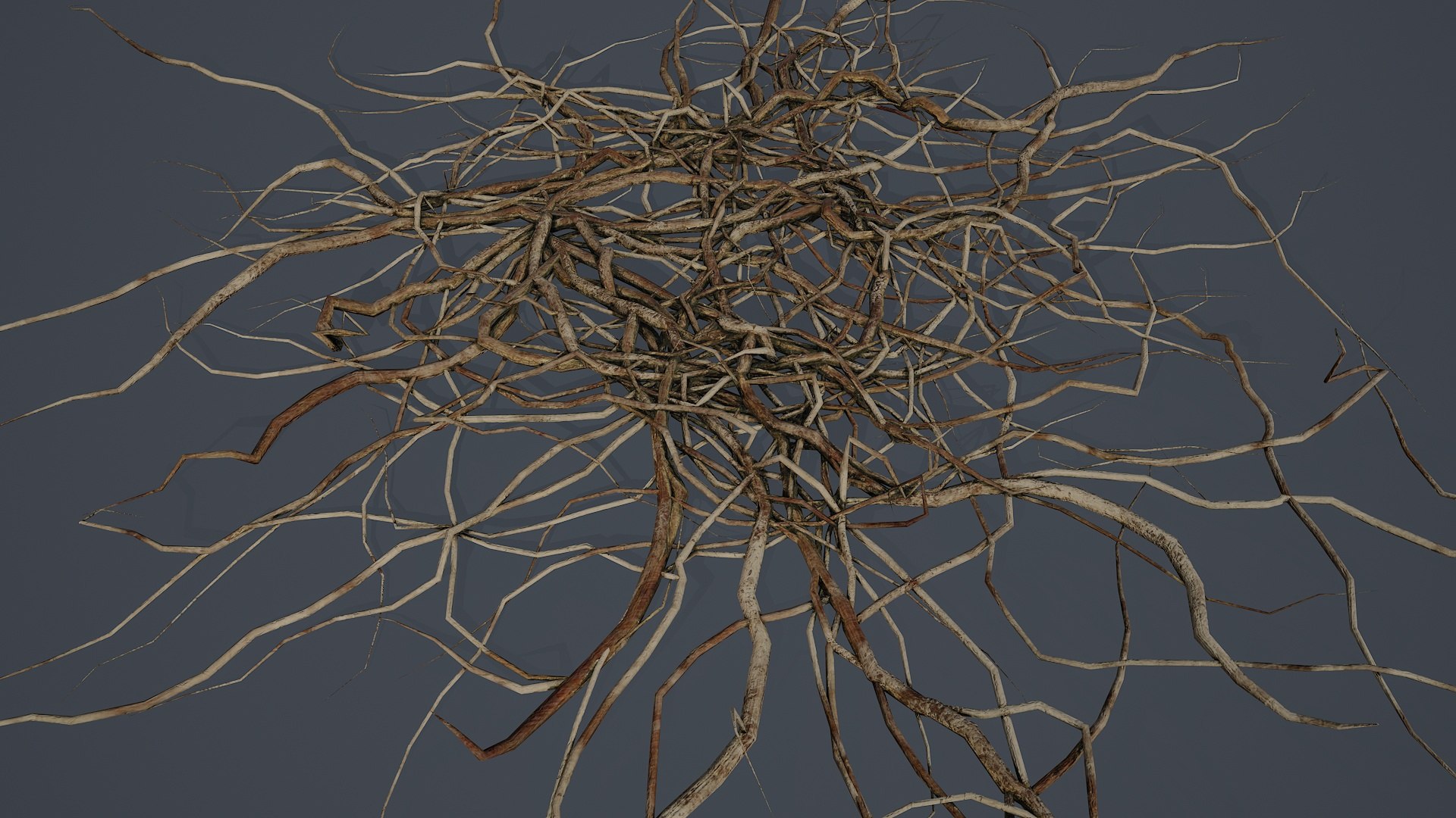Wood Roots PBR V1 3D Model - TurboSquid 2531638