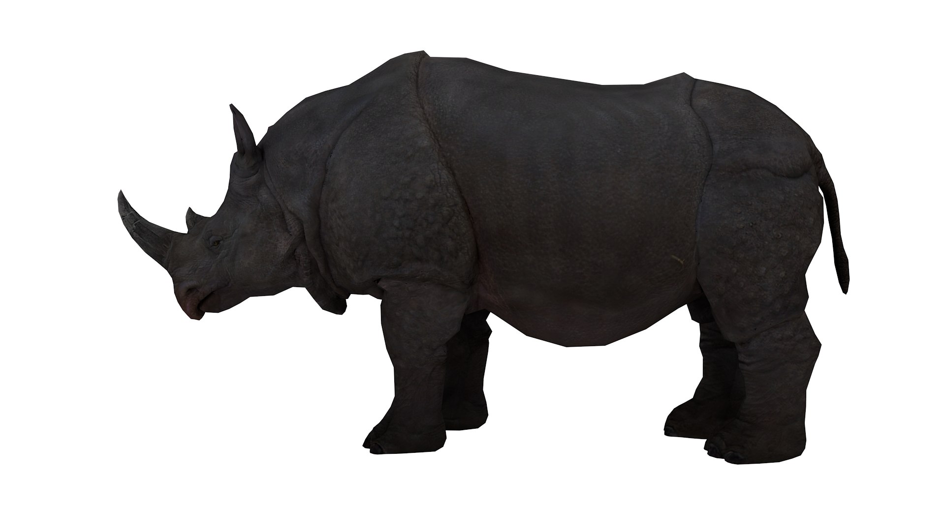 3D Realistic Rhino 3D Model Model - TurboSquid 2384270