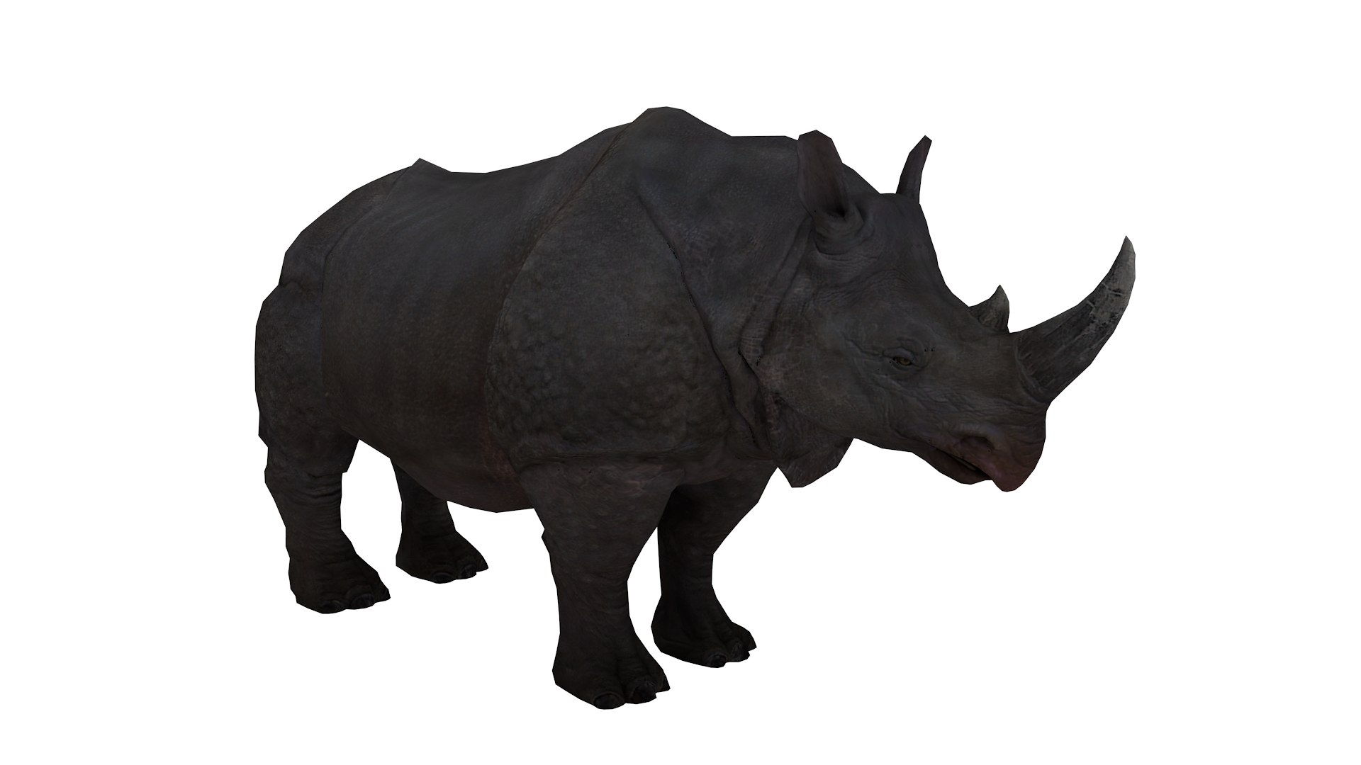 3D Realistic Rhino 3D Model Model - TurboSquid 2384270
