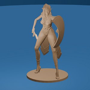 Dark Elf Paladin