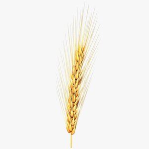 wheat cnc printing 3d c4d