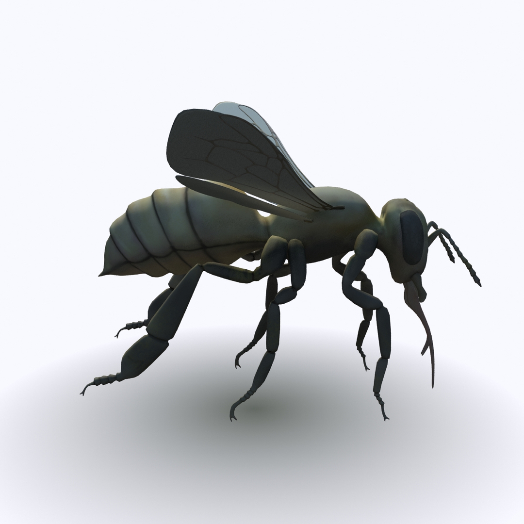 3d Model Of Worker Bees
