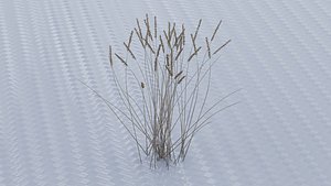 a cluster of wheat model