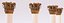 COLUMN CROWN