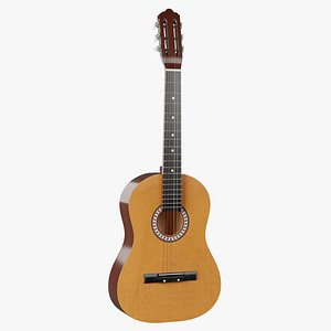 Acoustic Guitar