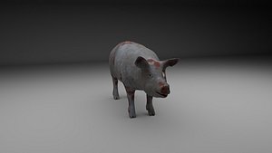 3D 2 modeled model