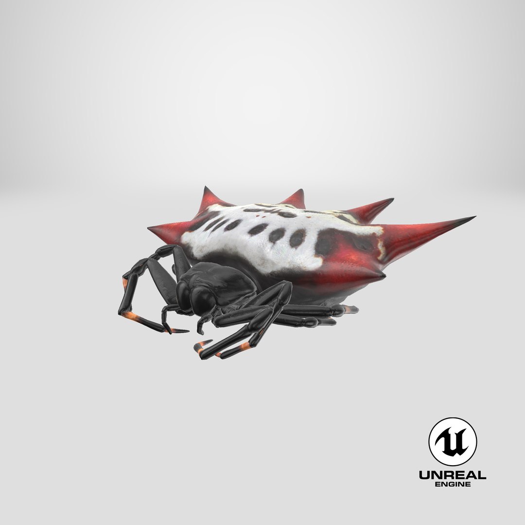 3D gasteracantha spider model https://p.turbosquid.com/ts-thumb/R6/8eu9WT/4S/stemcell_unreal_render/png/1651054189/1920x1080/fit_q87/d3617a06e511e89d81f6f47fa458661ff43ec12e/stemcell_unreal_render.jpg