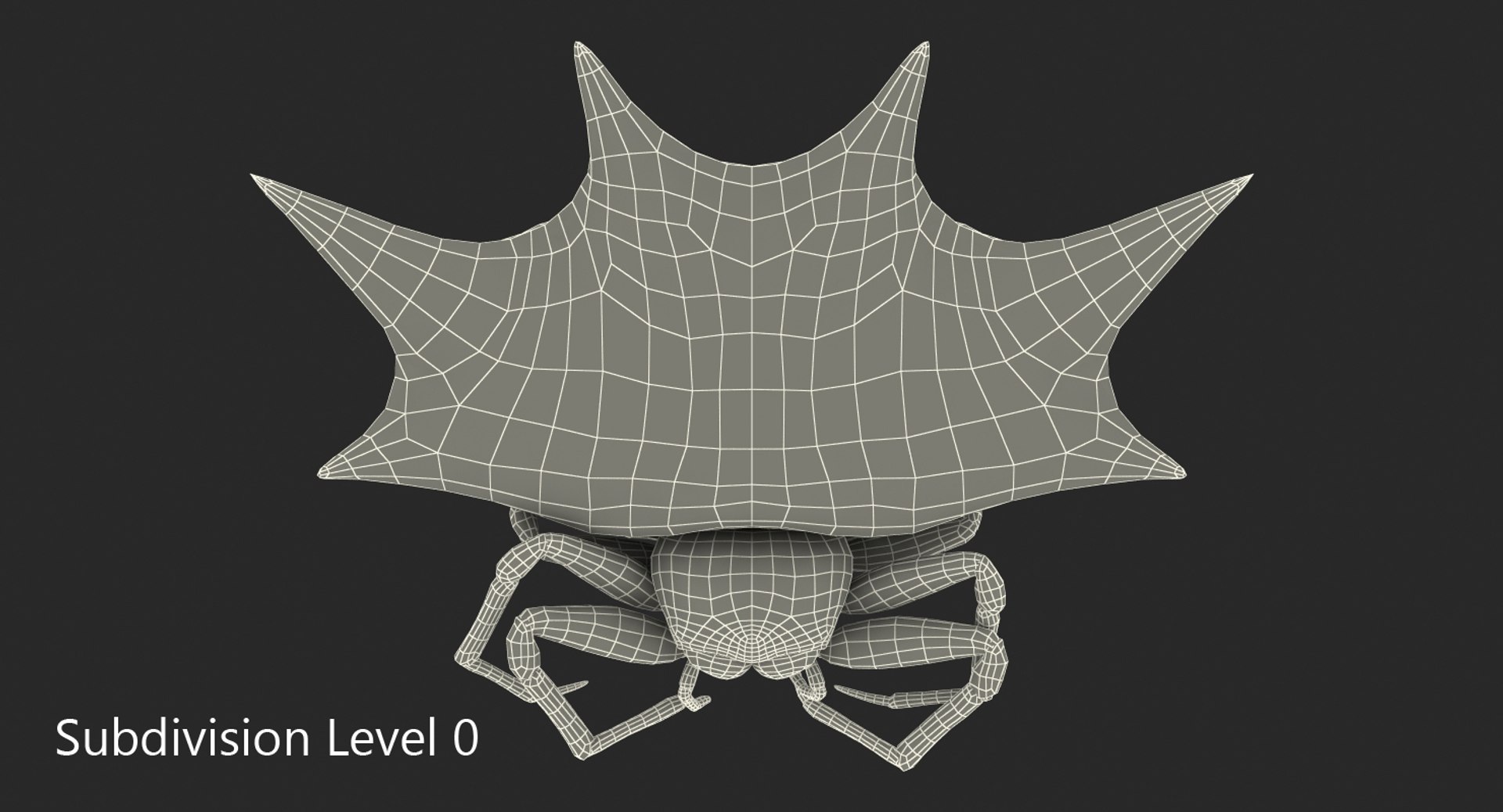 3D gasteracantha spider model https://p.turbosquid.com/ts-thumb/R6/8eu9WT/C4imQe6O/gasteracanthaspider3dmodel011/jpg/1497289709/1920x1080/fit_q87/84953470304a9bd58e9638dd809129e36e999ba4/gasteracanthaspider3dmodel011.jpg