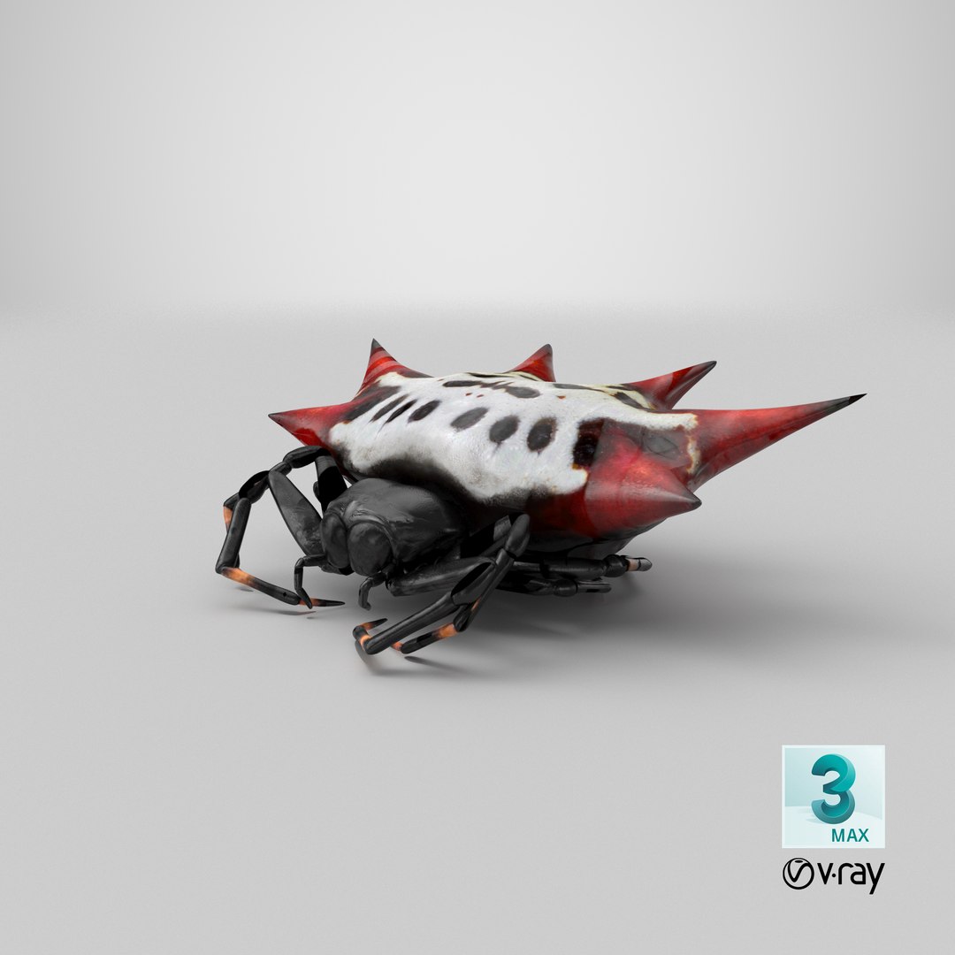 3D gasteracantha spider model https://p.turbosquid.com/ts-thumb/R6/8eu9WT/Ds/stemcell_max_vray_render/png/1651054193/1920x1080/fit_q87/62d622a64627c074a289cec45ce7b86b10b7f5f0/stemcell_max_vray_render.jpg