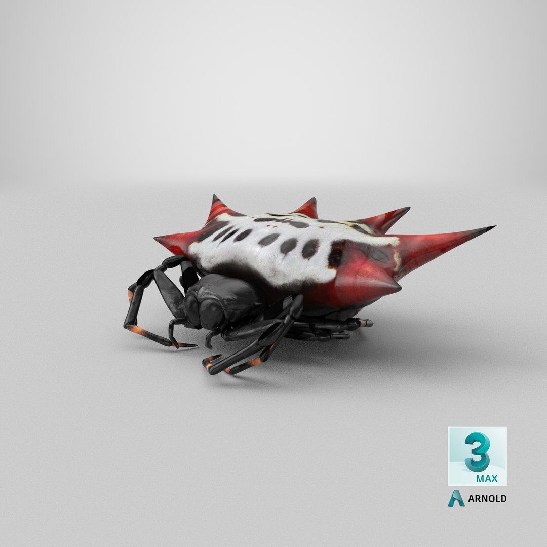 3D gasteracantha spider model https://p.turbosquid.com/ts-thumb/R6/8eu9WT/L6/stemcell_max_arnold_render/png/1651054190/1920x1080/fit_q87/e20c4d496282c22d25c15401f69e16a2e3b786f4/stemcell_max_arnold_render.jpg