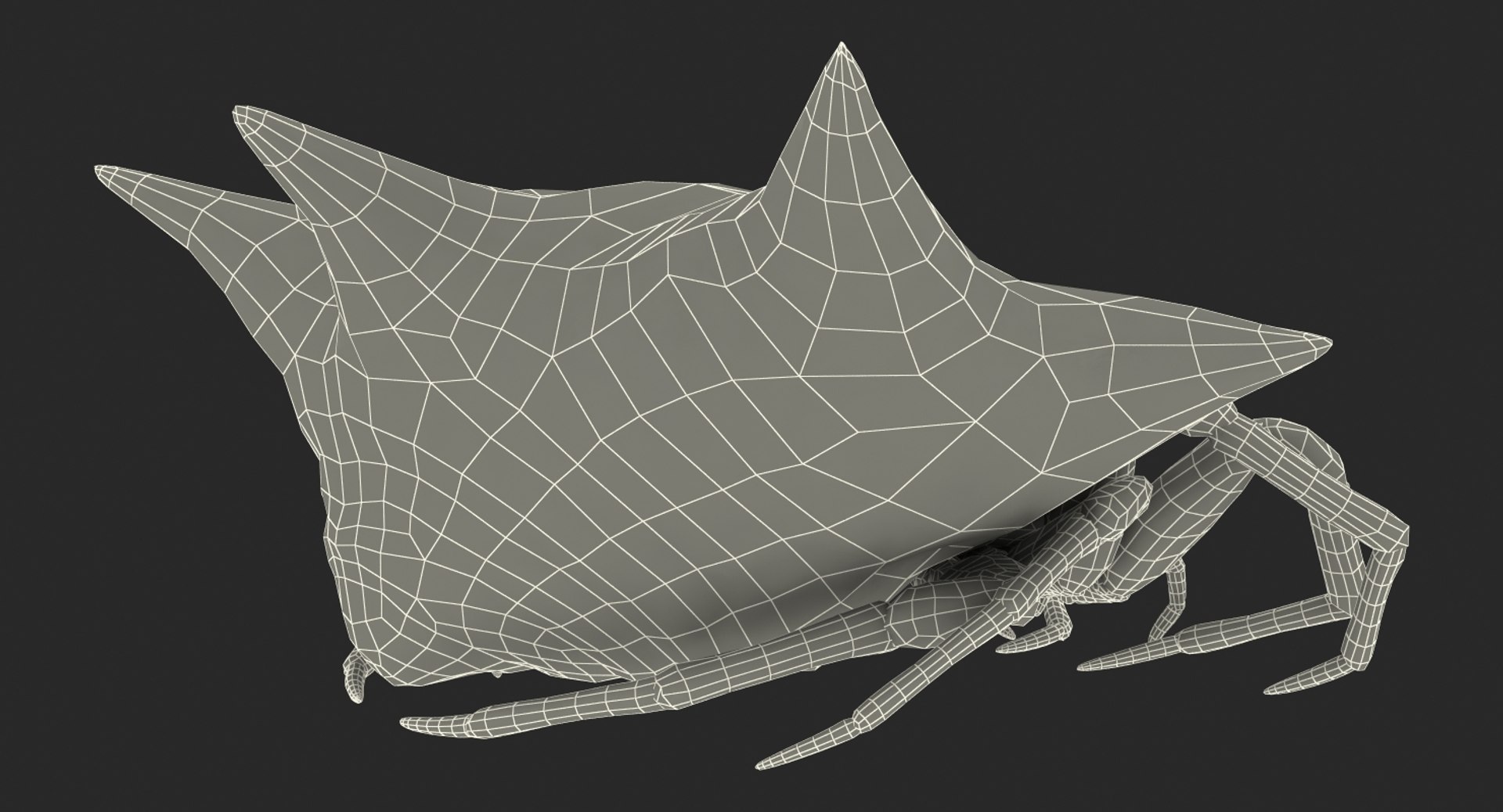 3D gasteracantha spider model https://p.turbosquid.com/ts-thumb/R6/8eu9WT/OBKEdlUi/gasteracanthaspider3dmodel020/jpg/1497289709/1920x1080/fit_q87/0e5f7428c653cf8cd46bf1f2d4ff53e93e8fd6cc/gasteracanthaspider3dmodel020.jpg
